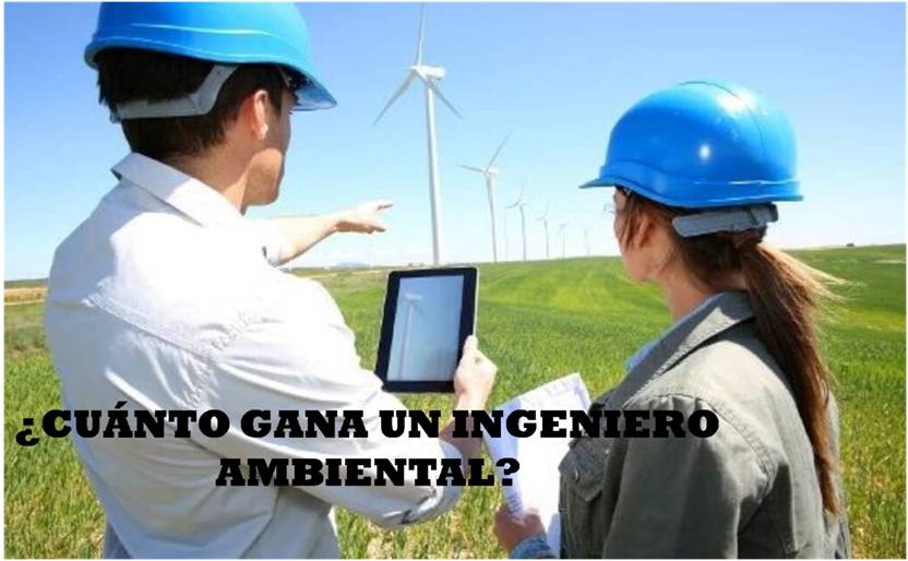 ¿Cuál es el salario medio de un Ingeniero Ambiental en Perú?
