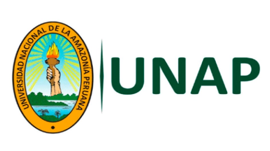 Universidad Nacional de la Amazonía Peruana (UNAP): ¿Cómo ingresar? Carreras y Becas