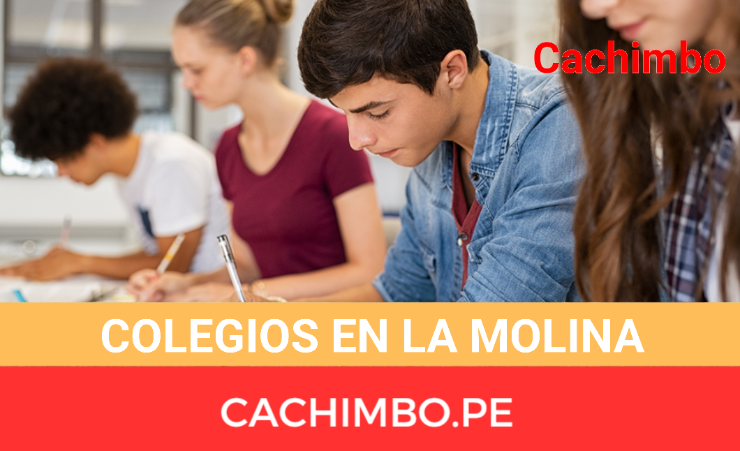 Colegios en La Molina